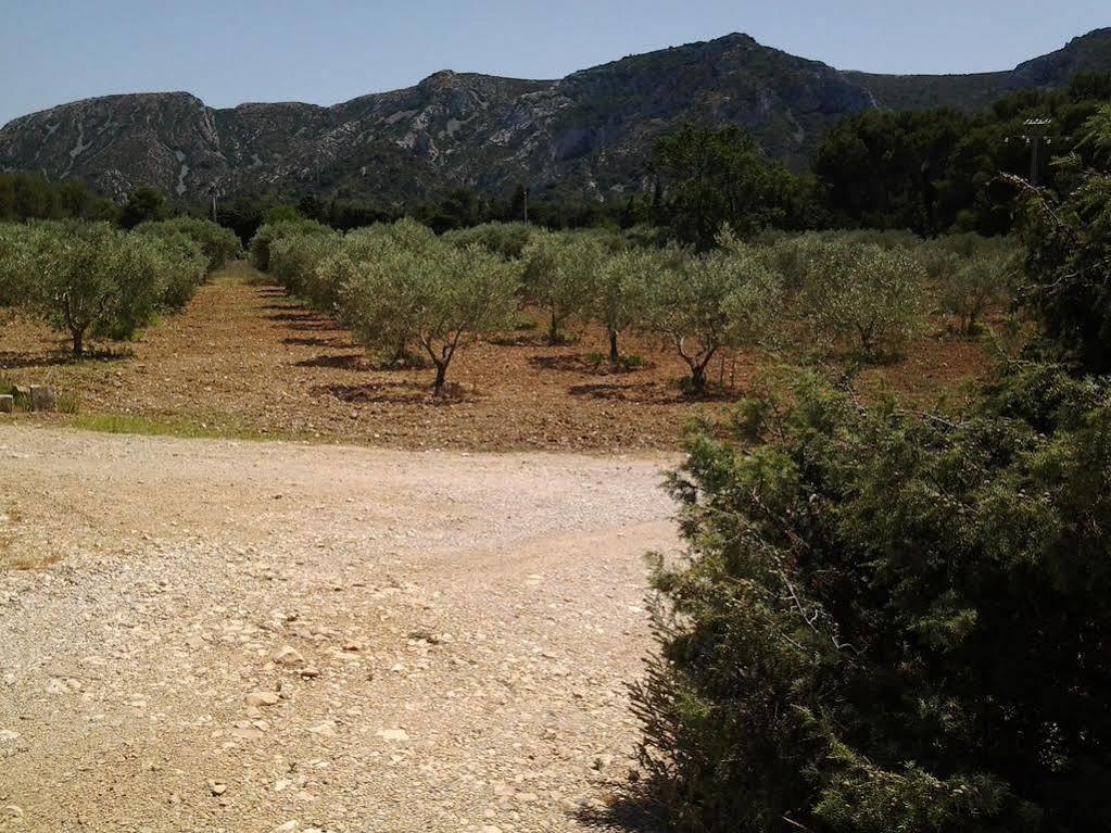 Le Mas Des Genets Saint-Rémy-de-Provence Εξωτερικό φωτογραφία