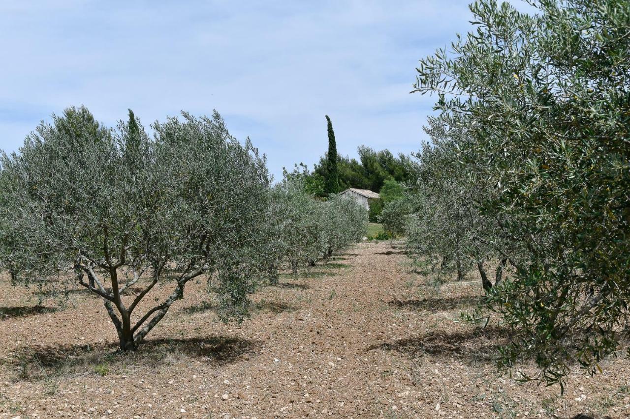 Le Mas Des Genets Saint-Rémy-de-Provence Εξωτερικό φωτογραφία